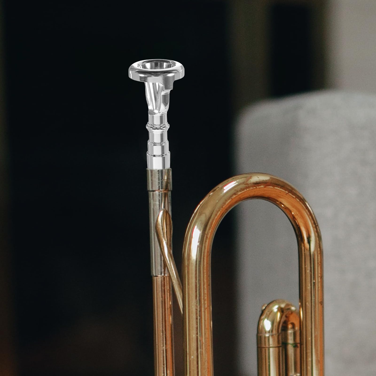 Allenatore Bocchino Tromba Piccolo Argento, Dispositivo Vibrazione Labbra Tromba per Studenti e Musicisti, Accessorio Professionale per Esercizi di Strumenti a Fiato