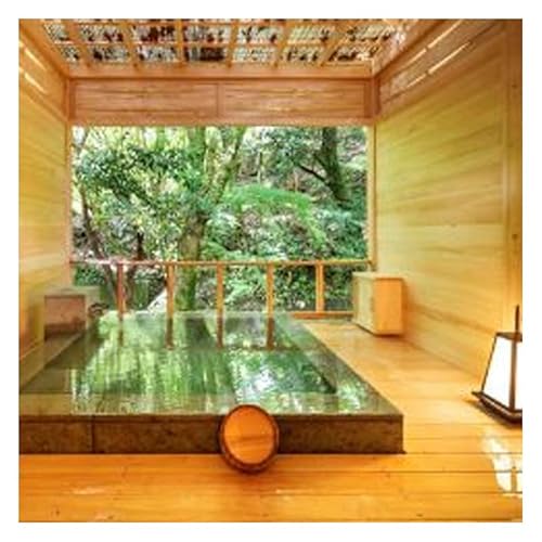 旅行 静岡県 温泉 宿泊補助券 河津七滝 渓流温泉茶寮 水鞠 12000円 ファミリー カップル 全室渓流沿い天然温泉 施設利用券 チケット 宿泊券 旅行券 宿泊 旅館 ホテル 河津桜 露天風呂付客室 露天風呂