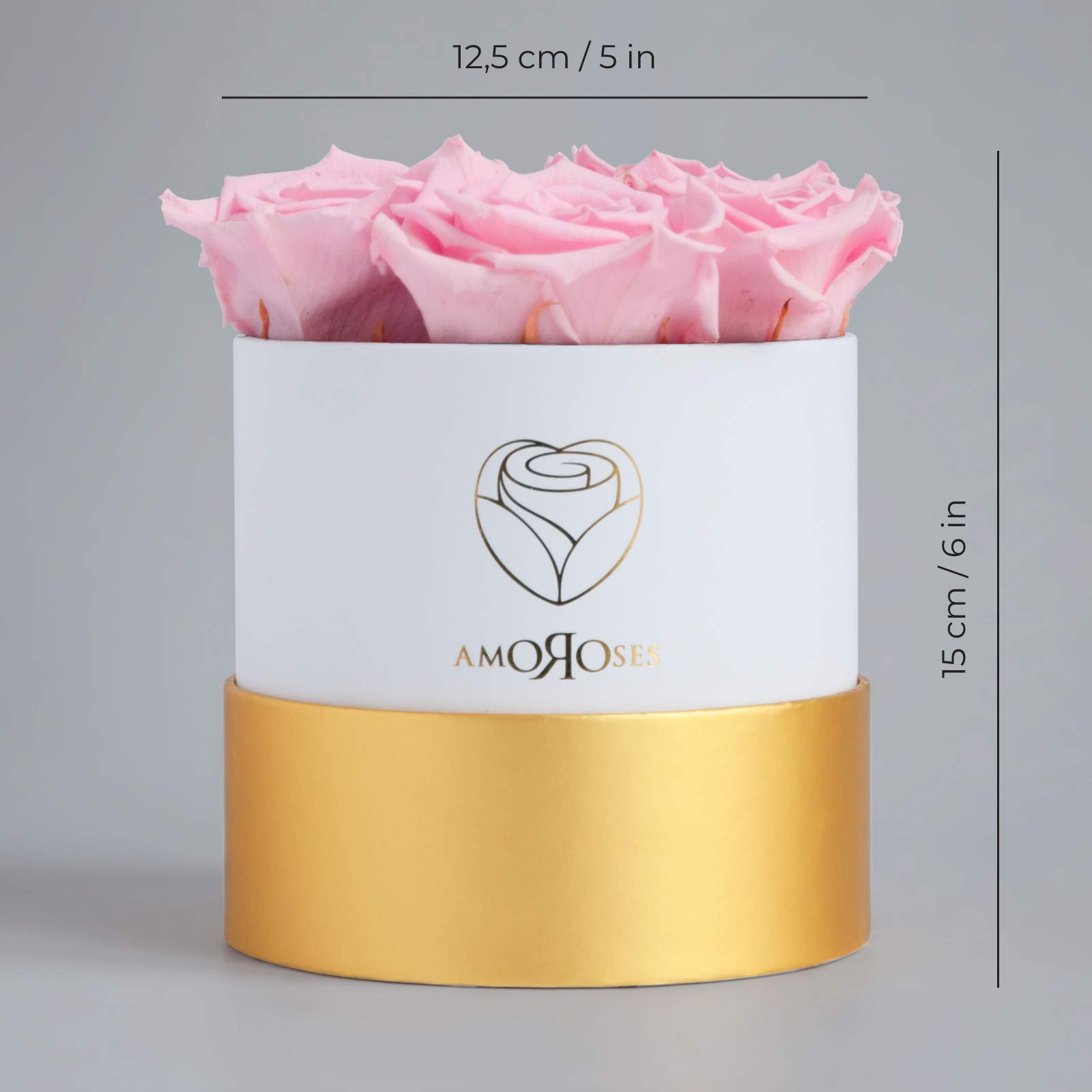Amoroses Petite - Confezione Regalo 5 Rose Stabilizzate Eterne - Elegante Bouquet di Fiori Veri | Festa della mamma (Petite Scatola Bianca con Rose Rosa)