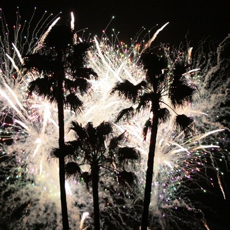 Interrupteur double feux d'artifice palmiers 3dRose lsp_156233_2
