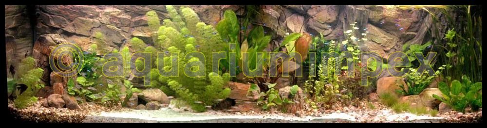 3D Aquarien Rückwand 120x60 Fels mit Wurzel