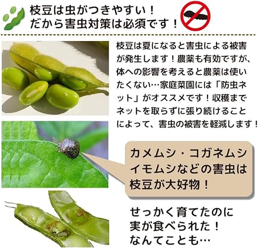 Amazon Daim 枝豆栽培用 足長防虫チャレンジセット 家庭菜園 無農薬 野菜 栽培 枝豆 園芸 支柱 ネット 虫よけ 無農薬 黒豆 防鳥 防獣ネット Amazon Daim 枝豆栽培用 足長防虫チャレンジセット 家庭菜園 無農薬 野菜 栽培 枝豆 園芸 支柱 ネット 虫よけ 無農薬 黒豆 防鳥 防獣ネット
