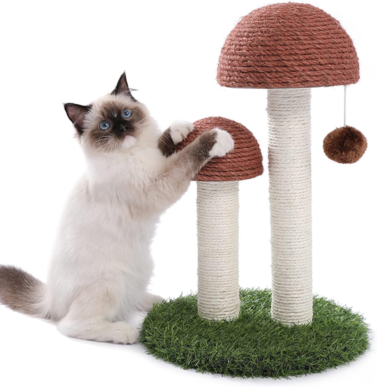 PETEPELA Cat Scratching Post, Mushroom Tall Cat Scratcher Featuring with Natural Sisal Scratching Poles and Interactive Toy Ball for Kittens and Small Cats (Brown) : Pet Supplies