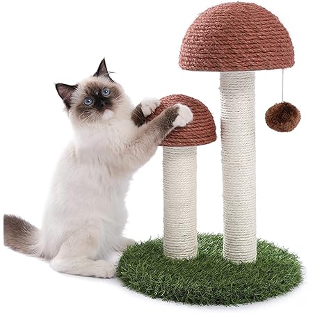 PETEPELA Cat Scratching Post, Mushroom Tall Cat Scratcher Featuring with Natural Sisal Scratching Poles and Interactive Toy Ball for Kittens and Small Cats (Brown)
