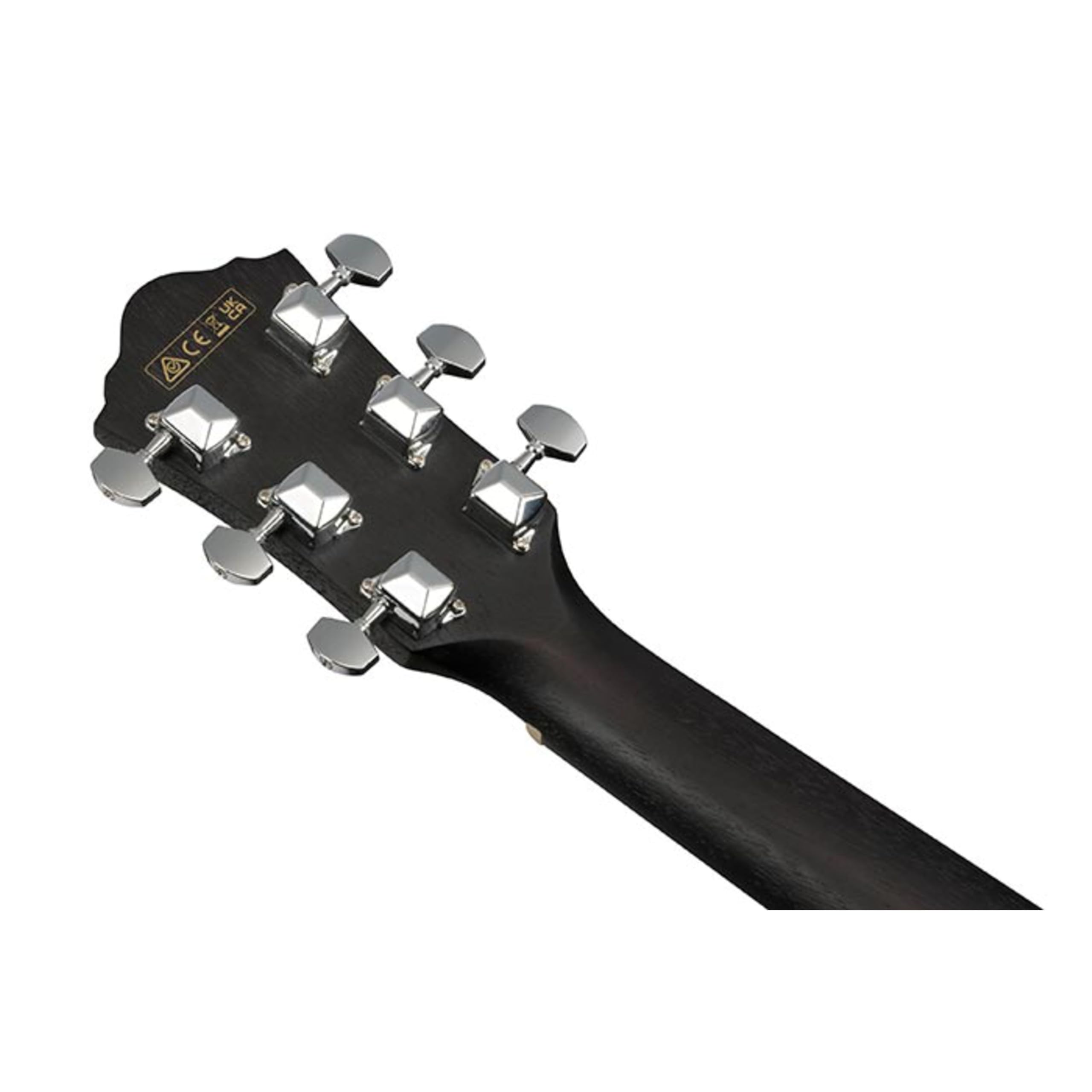Ibanez VC44CEWK Acoustic Guitar