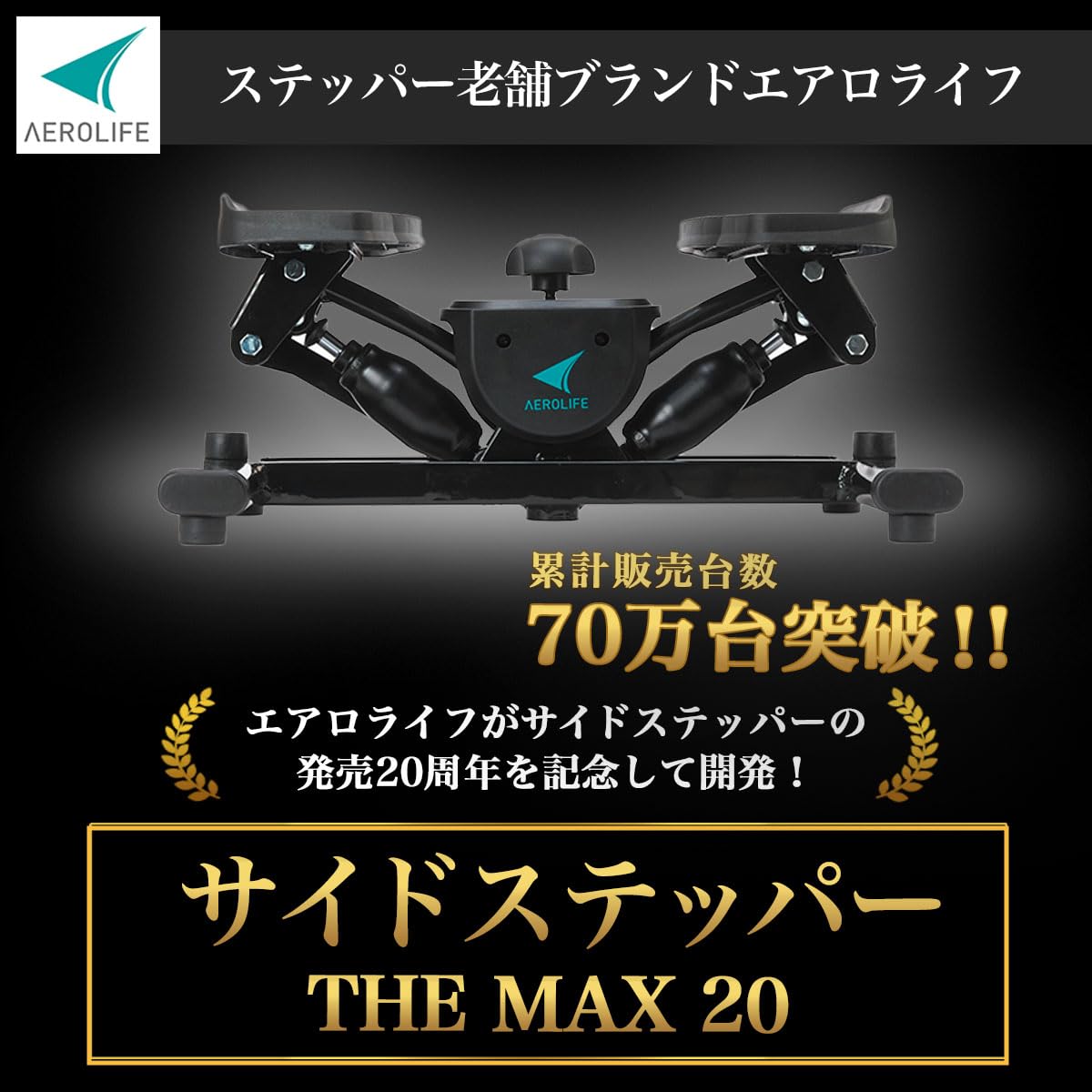 Amazon | エアロライフ サイドステッパー THE MAX20 負荷調整 静音