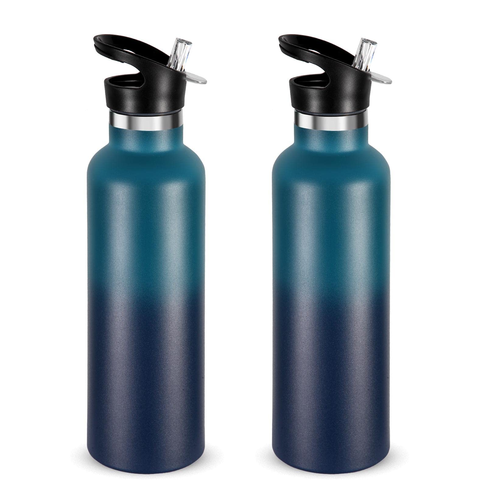 Neihepal 24oz Stainless Steel Water Bottle - Vacuum Insulated Cold Grey Flask With Straw Lid