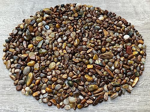 View 4