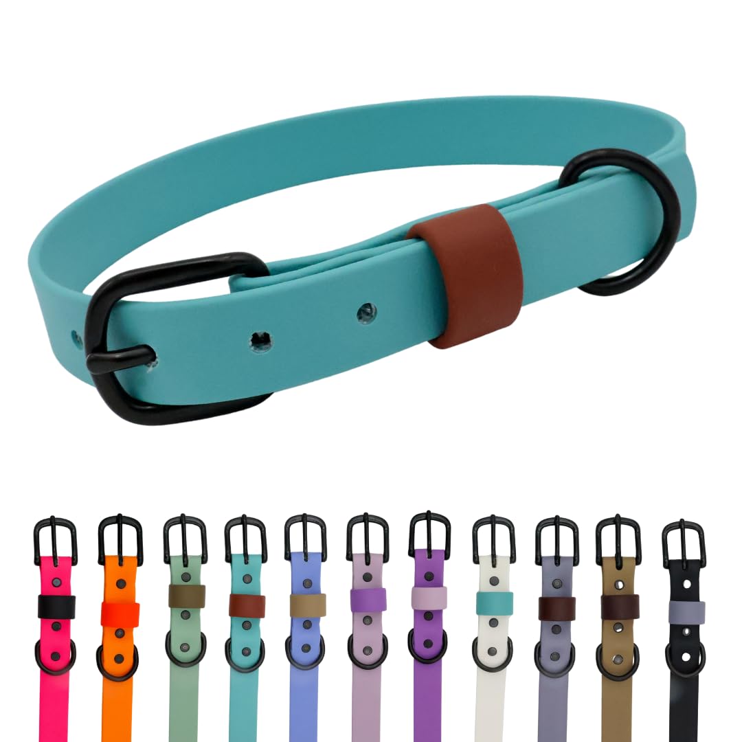 Collier chien imperméable turquoise poussiéreuse en taille L