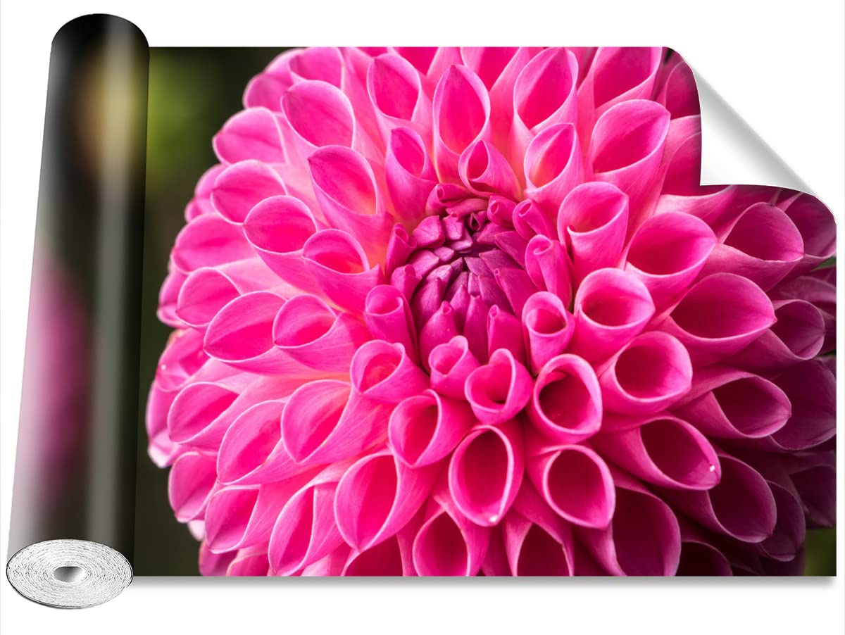 Papier Peint Camouflage Rose Tulup pour Transformer un Mur Blanc sans Peinture