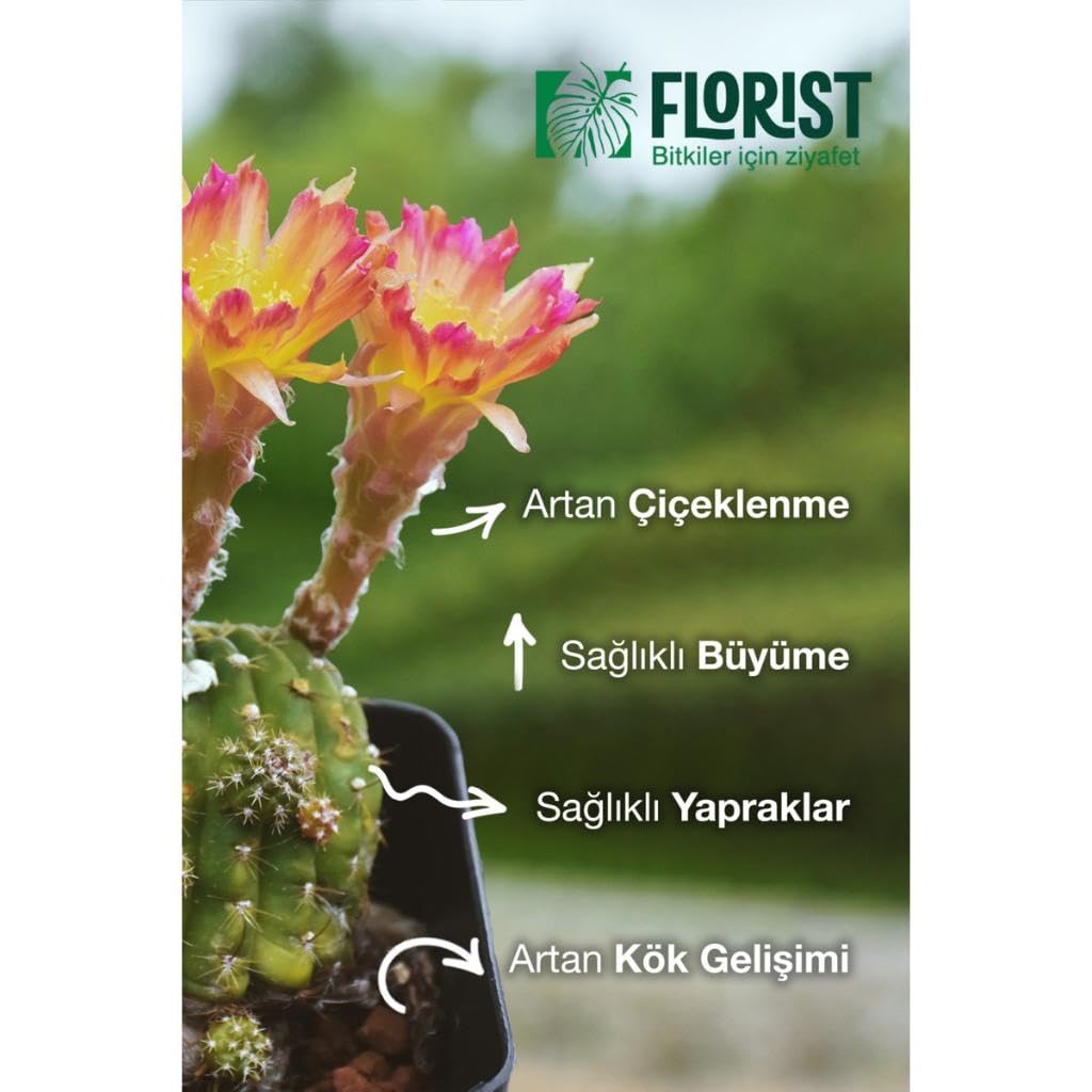 Konsantre Sıvı Kaktüs ve Sukulent Bitki Besini