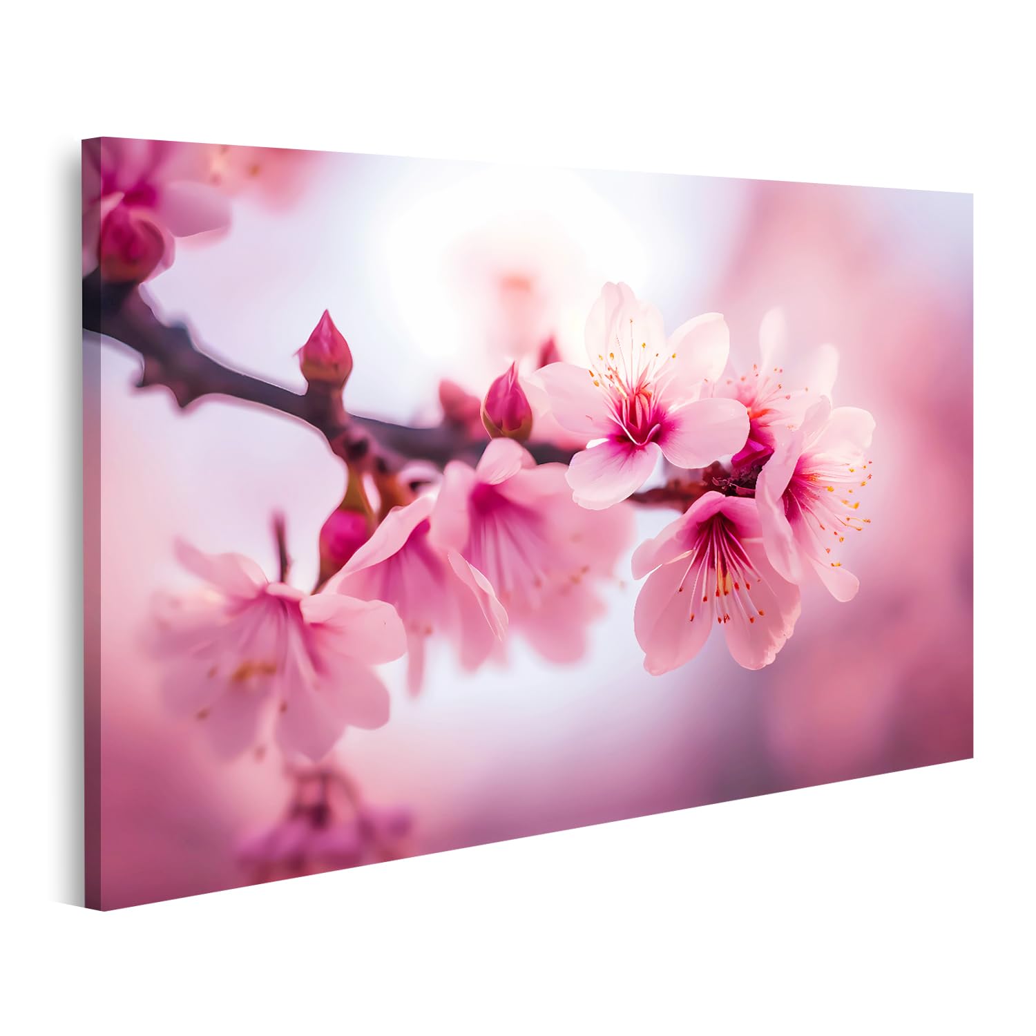 Tableau sur toile fleurs de cerisier pour raviver un mur blanc sans refaire la peinture