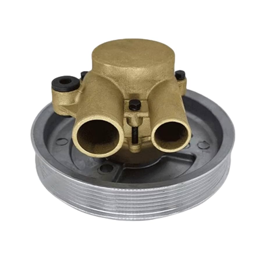 Amazon.com: Manioiity 21212794 Sea Water Pump 3852519