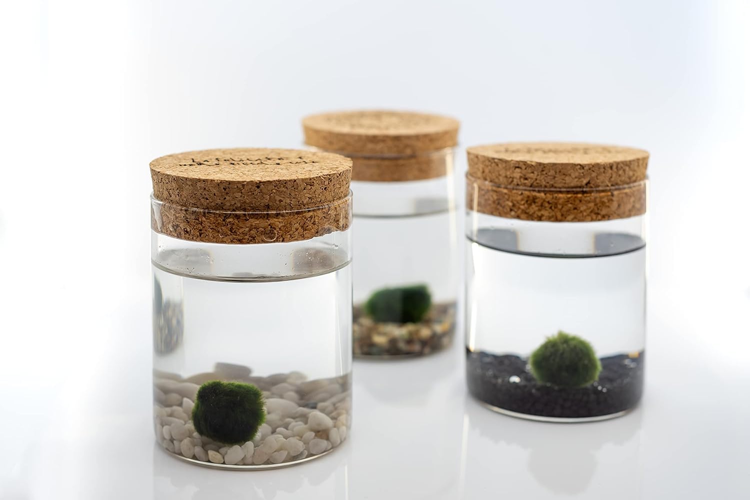 La Felicità è Nelle Piccole Cose Marimo Coppia Originale Vaso Vetro con Tappo Sughero, Artigianale, Fondale Bianco, Diametro 8cm, Altezza 11cm, Made in Italy