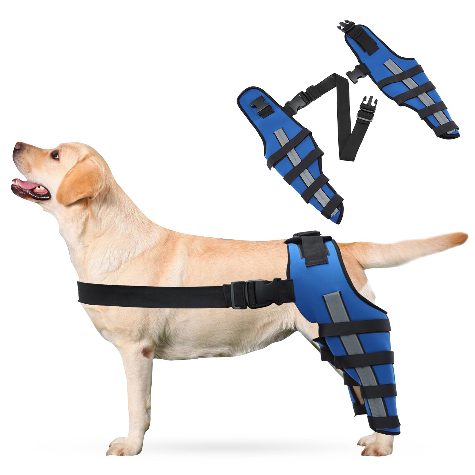 PETCUTE Genouillères Réfléchissantes Ajustables pour Chien - Arthrose Chien, Support Articulaire Antichoc pour LCA/CCL,ProtèGe-Coude pour Chien-XS(Bleu)