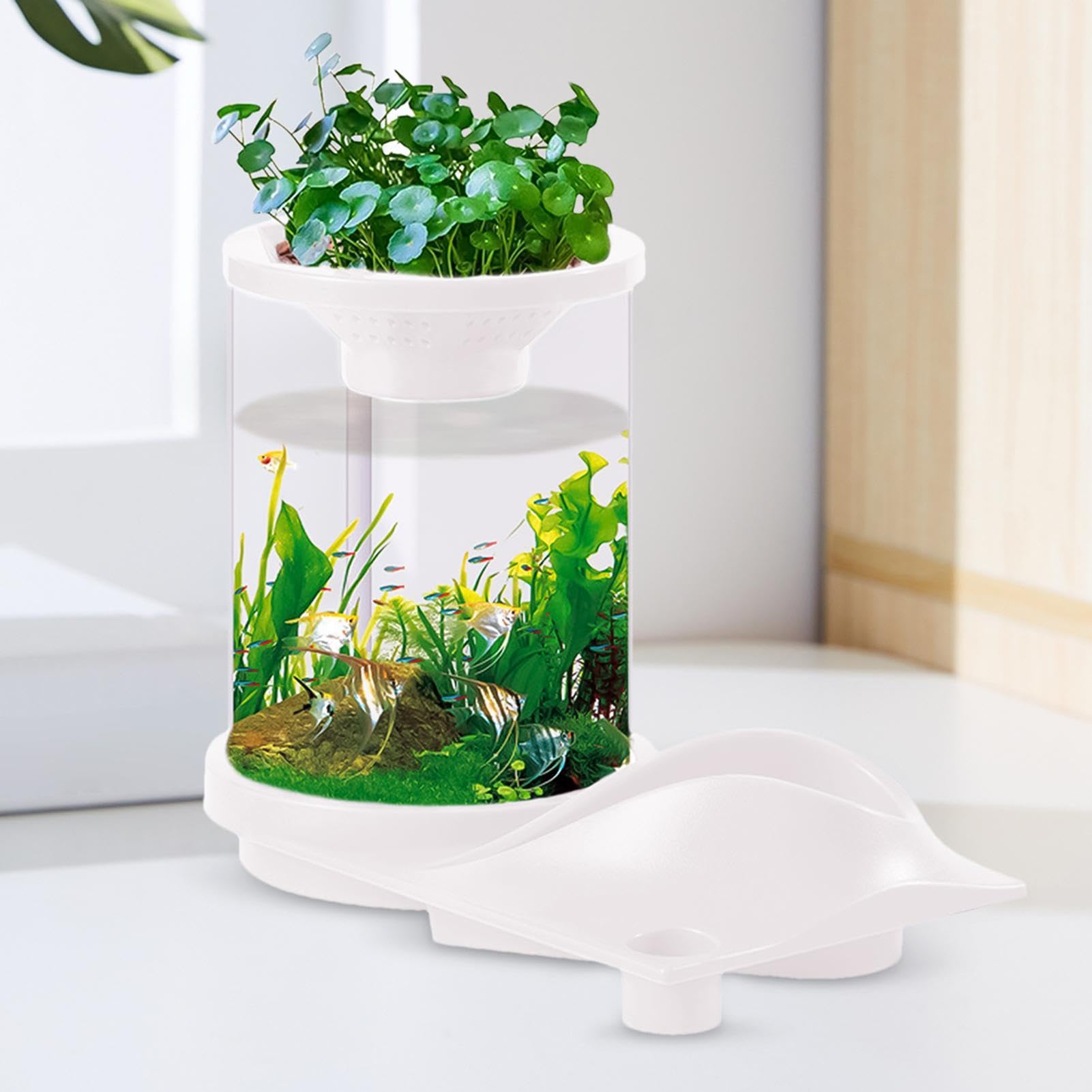 Piccolo acquario Aquaponic, piccolo acquario Betta