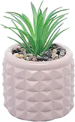 WOLFF - Cachepot de Cimento com Suculenta Spikes Marrom 7,5cm x 11cm