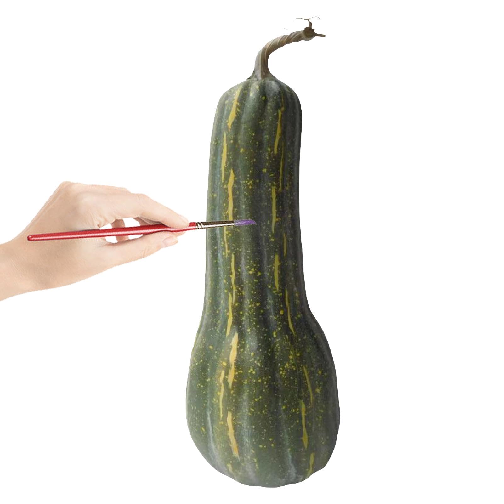 Zucche Artificiali, Di Lunga, Schiuma Decorativa Per Il
