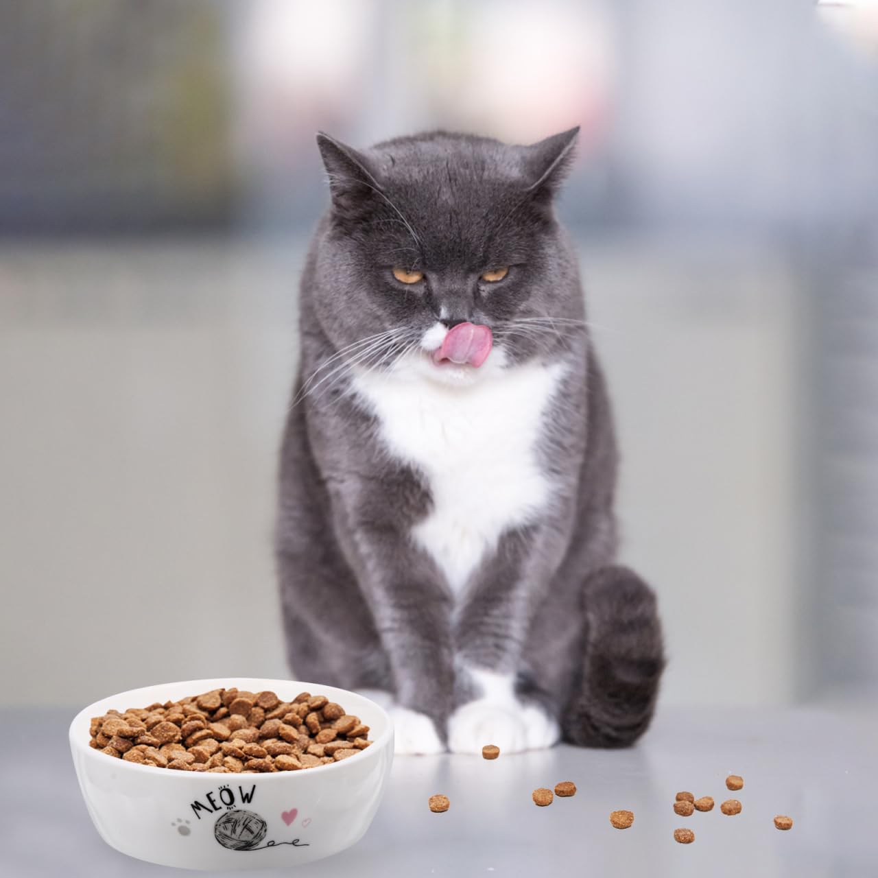 POPETPOP Keramik Napf Hund, Katzennapf Keramik, rutschfeste Futterschale FüR Katzen Und Hunde, Wassernapf Mit SüßEm Muster, 13cm, Weiß