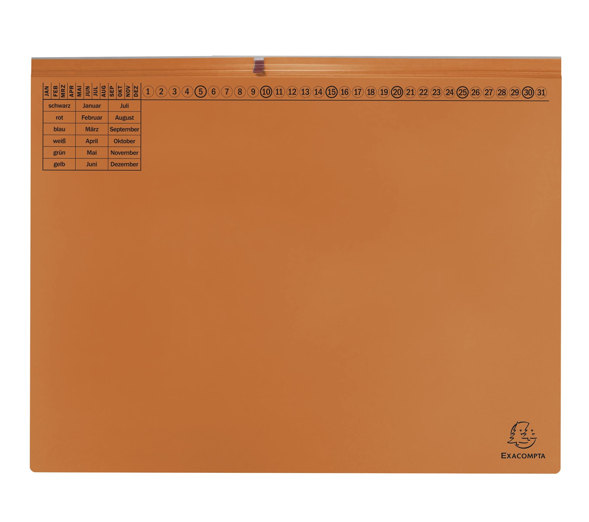 Exacompta 370409B - Confezione da 25 cartelle sospese Exaflex Premium