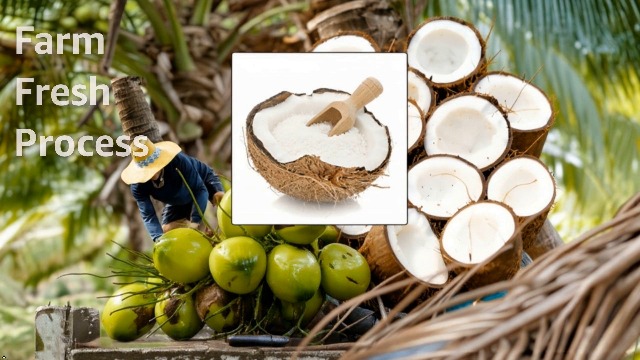 ORIGINALS Premium Dry Coconut Whole (GIT/KHOPRA) 250g Natural Sun