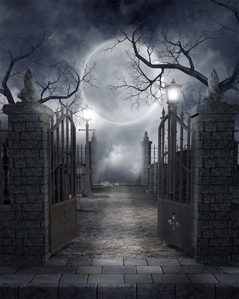 Haosphoto 5X7FT/150X210cm Halloween Backdrop Horror Moon Night Backdrops Gothic Gate Brick Floor Trick or Treat Photography Background for Masquerade and Costume Party Photo Studio Props AP28 - Image 3