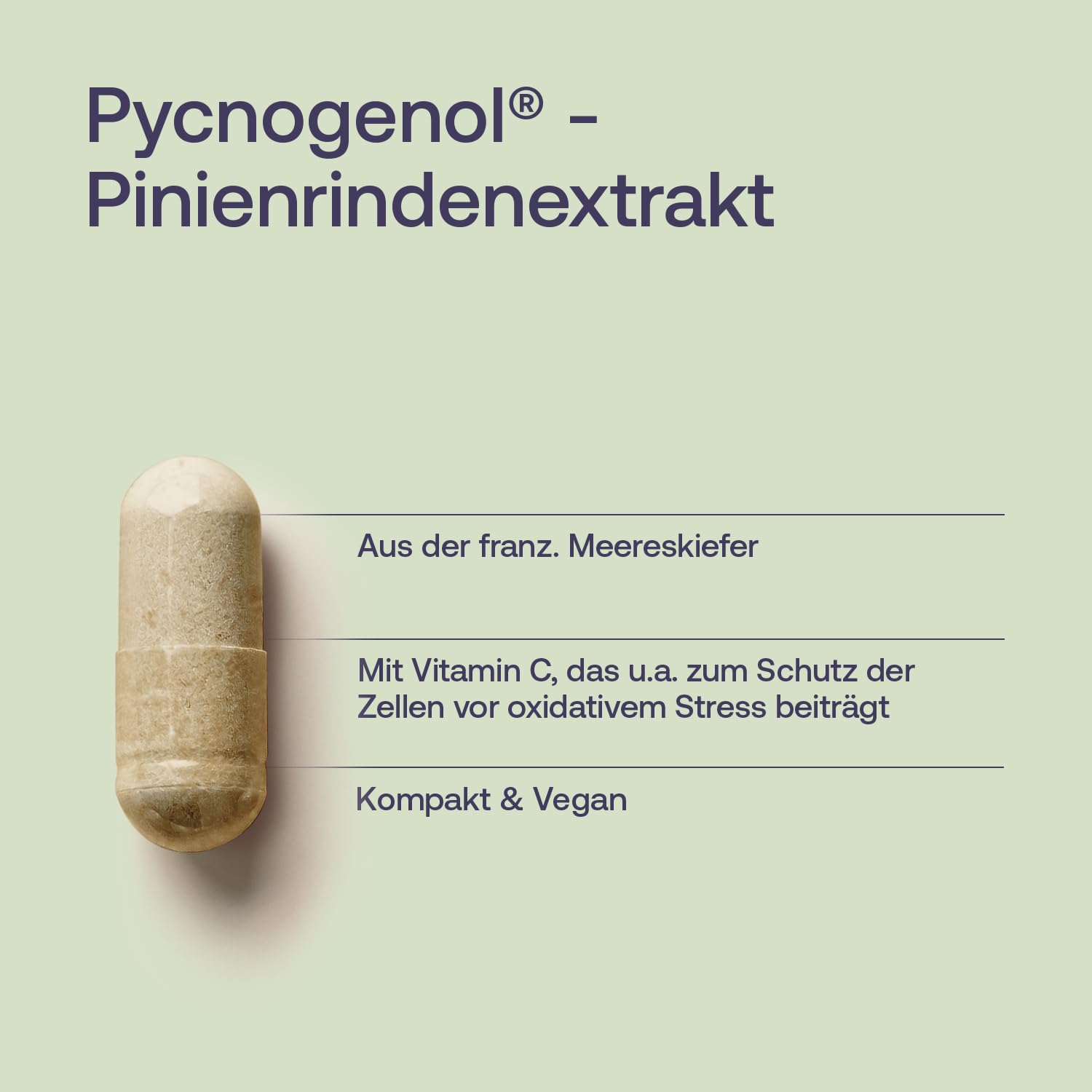 Effective Nature - Pinienrindenextrakt hochdosiert - Original Pycnogenol - mit Vitamin C aus der Acerolakirsche - Vegan - ohne Zusätze