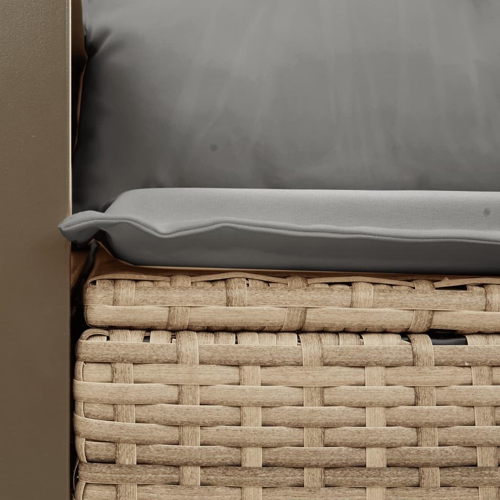 Divano da Giardino 2 Posti in Rattan PE Beige con Cuscini | Panchina da esterno modulare con contenitore salvaspazio e cuscini imbottiti per terrazzo o giardino.