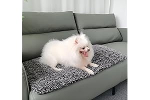 Self-Warming Dog Bed for Cozy Comfort