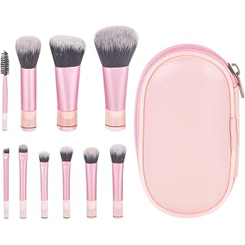 LIURFLNC 10-Piece Mini Make Up Brush Set Portable Travel Brush Set Makeup with Bag Set for Foundation Brush Blush Powder Eyeshadow Cosmetics