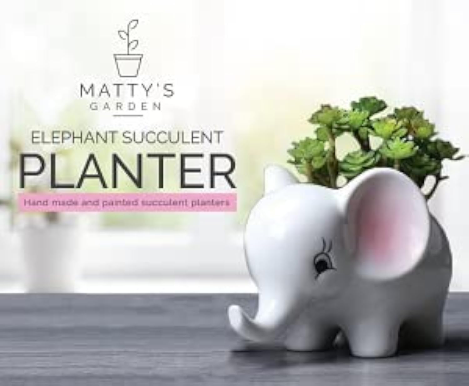 Amazon.com : Matty's Garden Pink Elephant 2.5 inch Succulent Planter ...