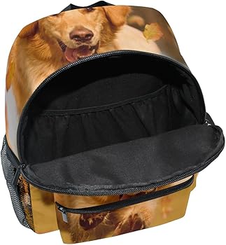 ColourLife Kids Book Bag Golden Retriever Jumping Backpack School