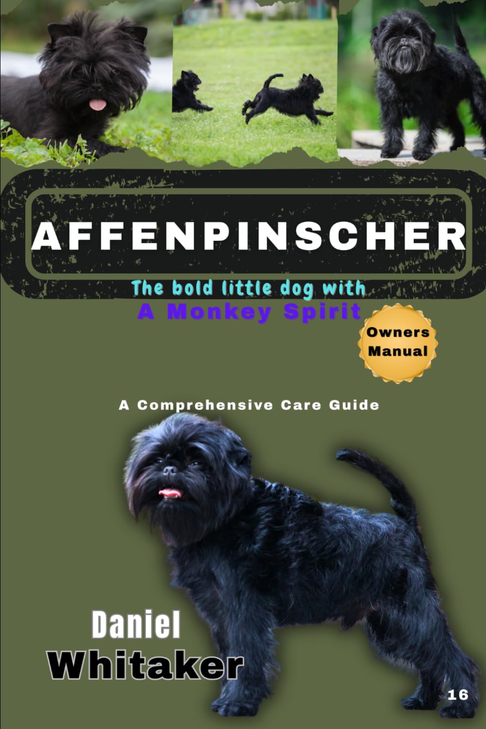 Affenpinscher: the bold little dog with a monkey spirit