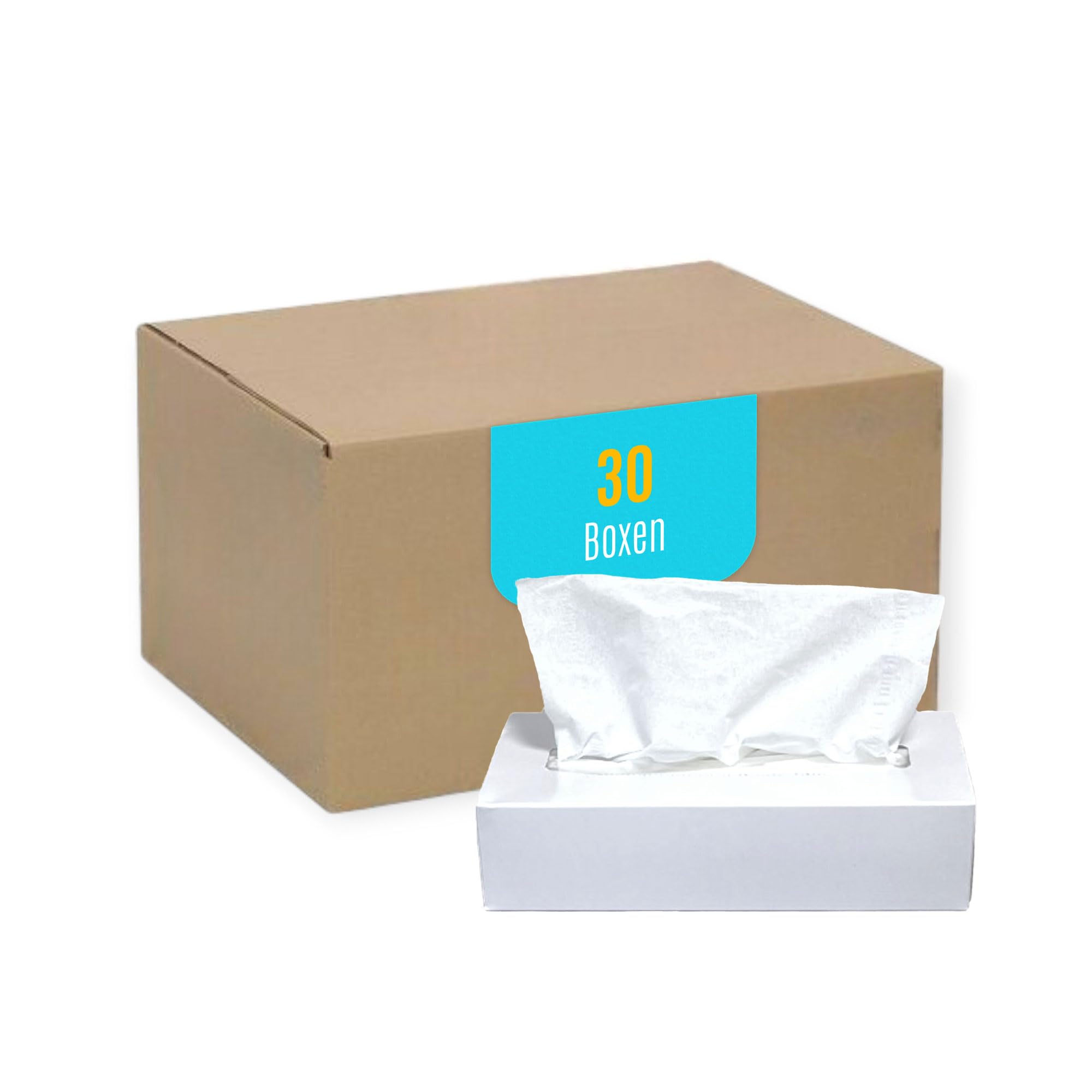 Kosmetiktücher (3.000 Stück), 2-lagige Taschentücher in weißer Box, weiche Papiertaschentücher, 30 Boxen x 100 Tücher