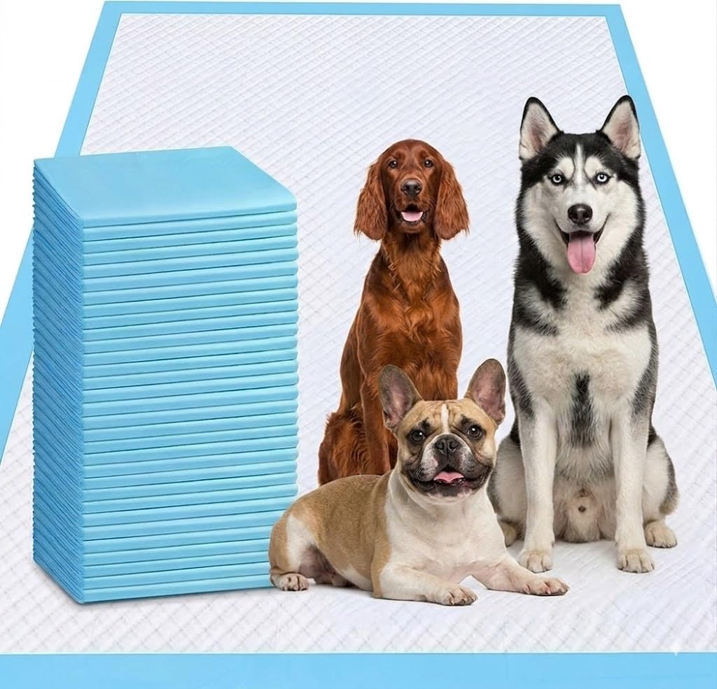 Cuscinetti per pipì per cani, 78,7 x 119,4 cm, 40 pezzi, extra large, a prova di perdite e super assorbenti, tappetini usa e getta per addestramento cuccioli per gatti e conigli