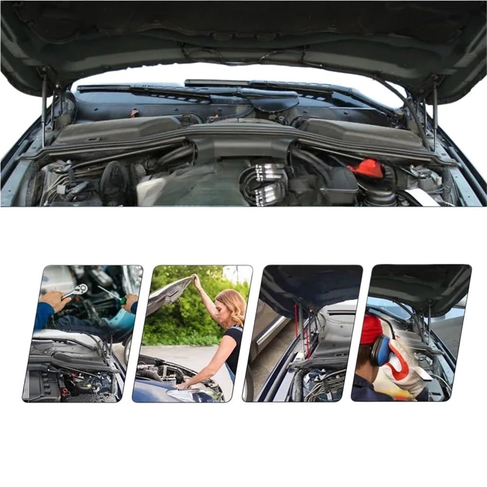 Capó Para E60 E61 525i 528i 530i 2004-2010 Amortiguadores