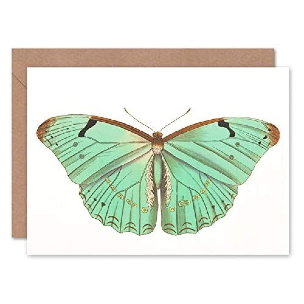 Wee Blue Coo Butterfly Turquoise Greeting Card With Envelope Inside Premium Quality