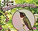 Hummingbirds (Backyard Birds)
