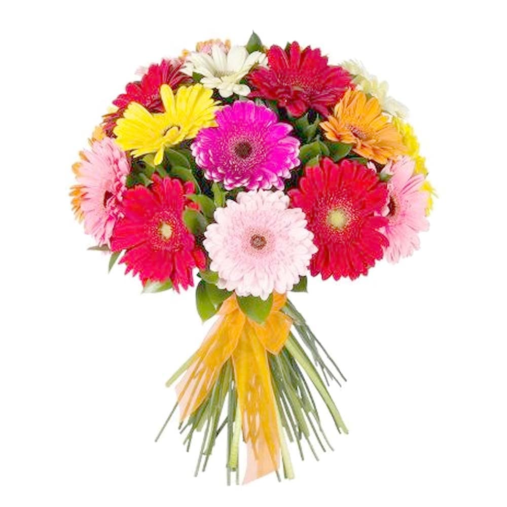 EG2i Gerbera Bouquet for Woman's day, mothers day, birthday, anniversray, same day delivery-image-0
