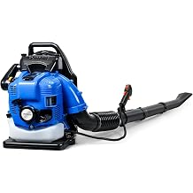75.6CC Backpack Leaf Blower Gas Powered, 4-Stroke Gas Leaf Blower for Wet Leaf & Debris Clean & Snow Removal Blue
