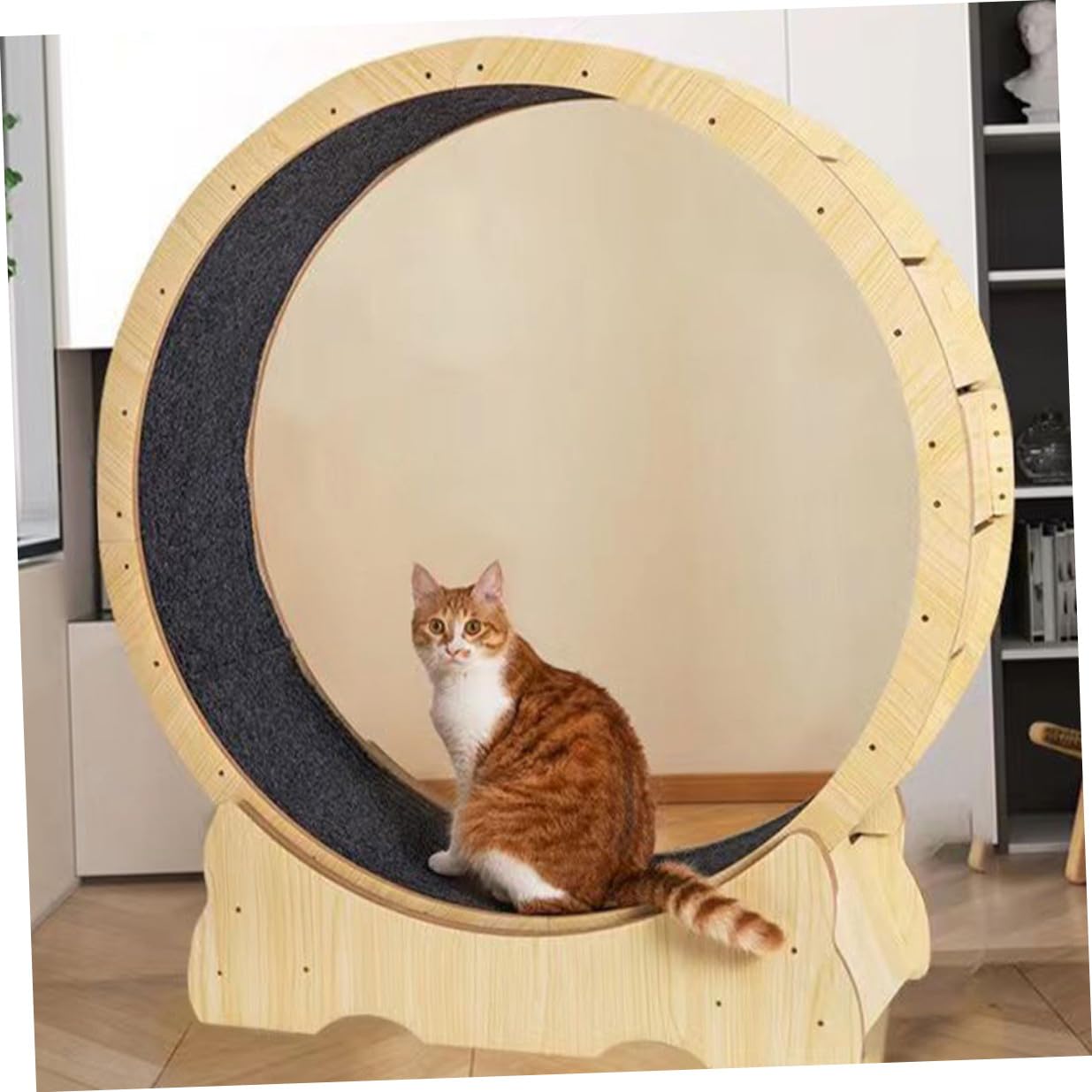 Tappetino in Peluche Spesso per Gatti, Accessorio per Ruota da Corsa, la Crescita Sana degli Animali Domestici, Adatto per Base della Ruota