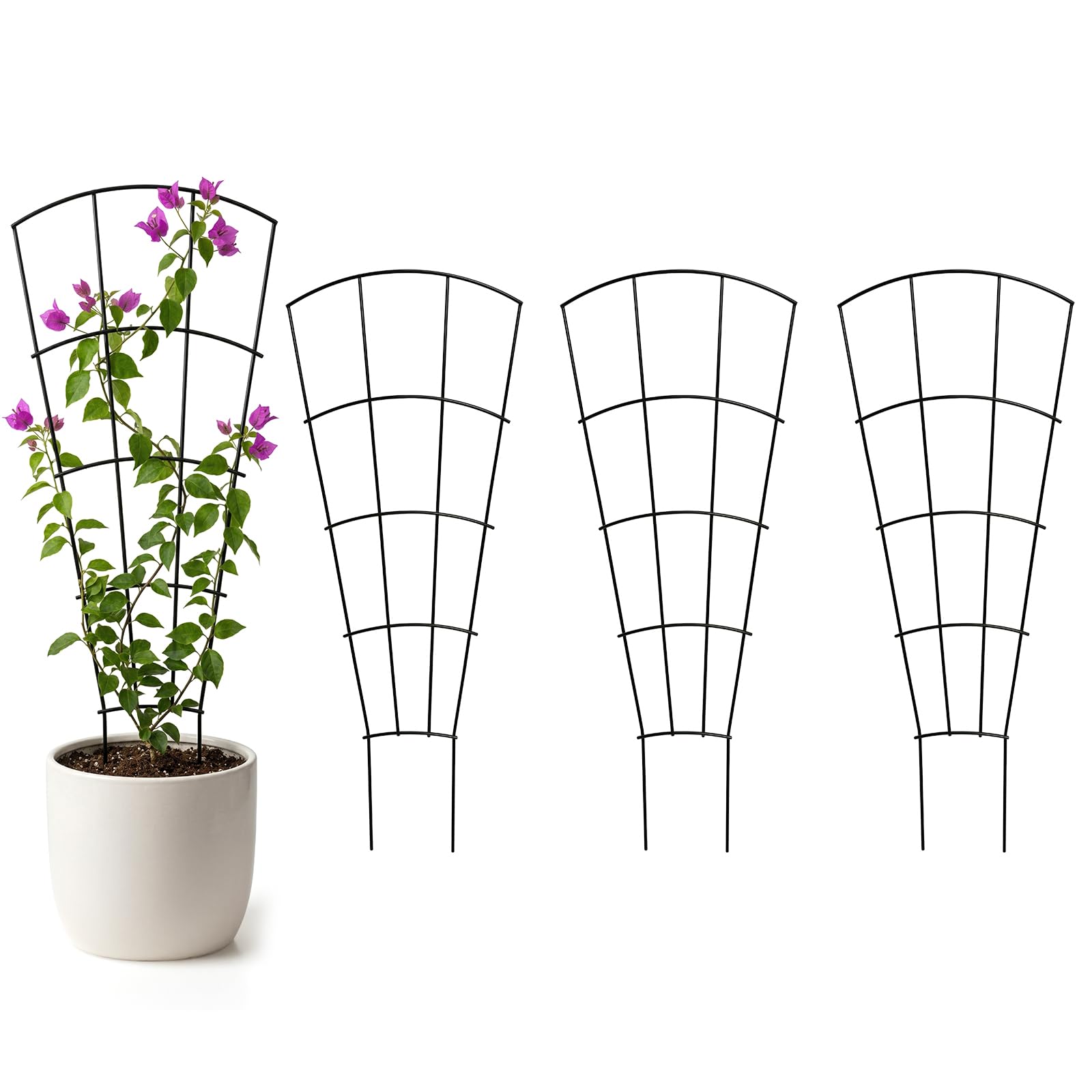 Thealyn 4er Pack Indoor-Pflanzen-Trellis für kletternde Topfpflanzen, Outdoor Metall Garten Trellis für Zimmerpflanzen, Blumen, Weinreben, Fächerform, Schwarz (Black, 60)