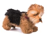 Ver la foto 1