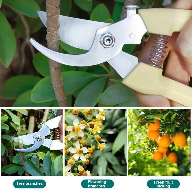 Tijeras de jardín para plantas y podar flores miniatura 5