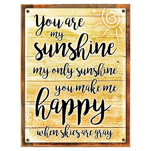 Homebody Accents Framed You are My Sunshine 18"x24" Metal Sign,
