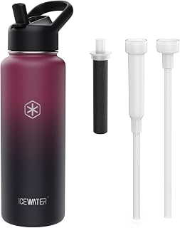ICEWATER 40 oz Versatile Water Bottle, Regular & Filtered Straw with Filter