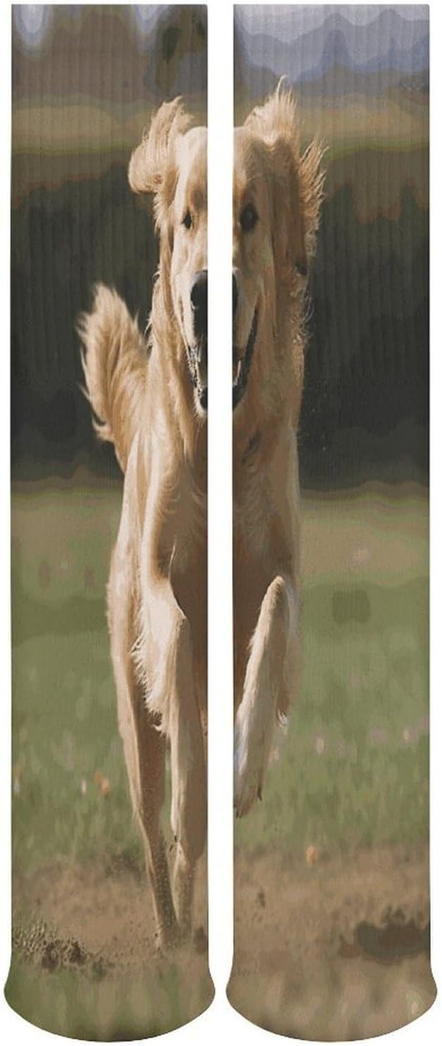 Golden Retriever Running Stocking - Cute Casual Long Athletic,Crew Sock for Men Women,Running Socks Soft Breathable for Gift