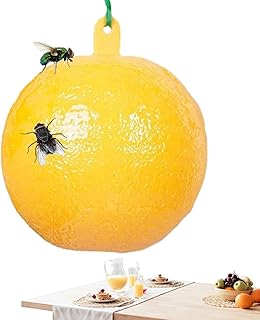 Armadilhas pegajosas para mosquitos | Mata-moscas-da-3,15 polegadas Armadilhas para bolas mosquitos - Armadilha suspensão segura eficaz para moscas-das-frutas Armadilhas para Prachy