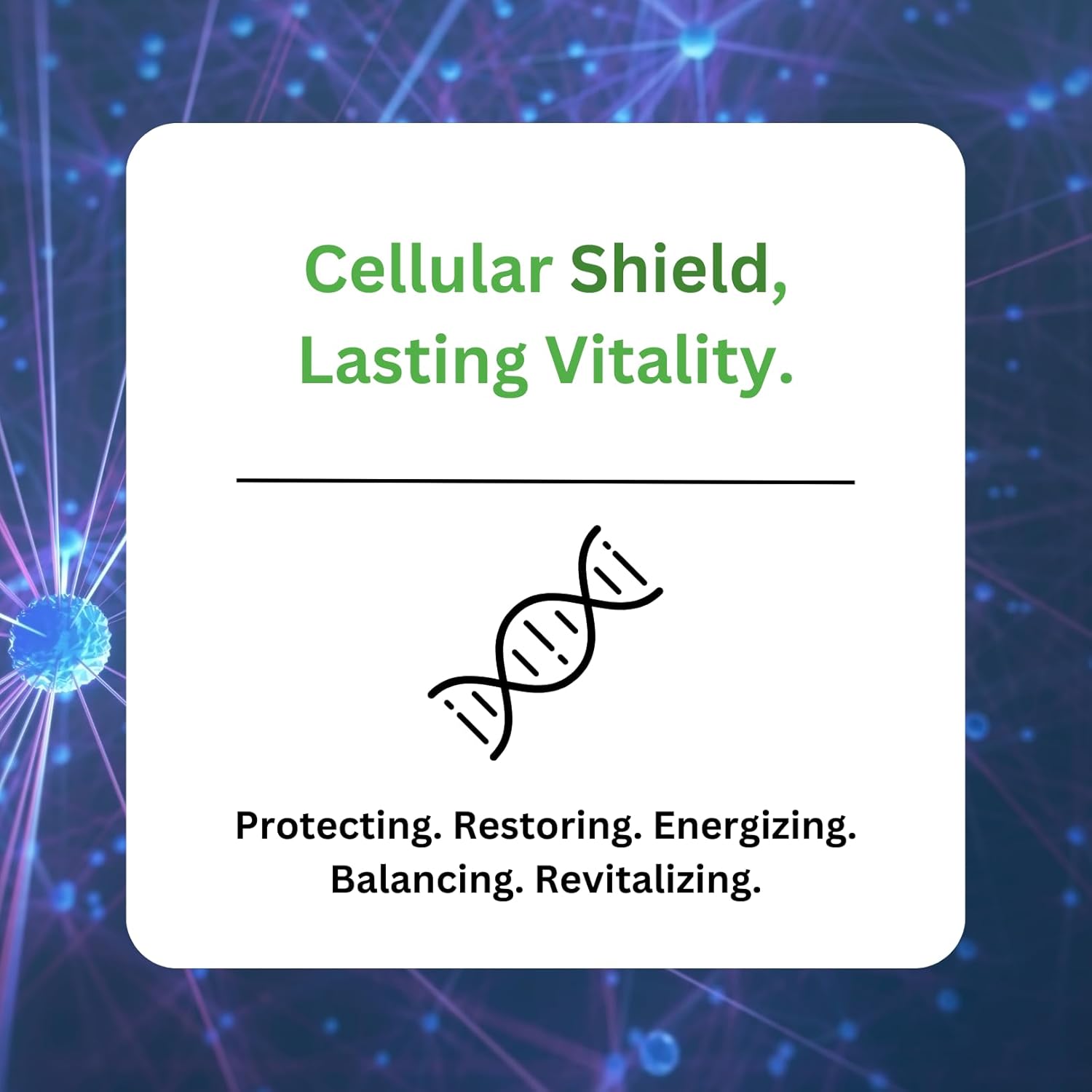 Paradise Herbs L-Carnosine, Super Potent, Ultra Pure, Antioxidant, Vegan, Non GMO, Gluten Free, 60 Vegetarian Capsules - Image 3