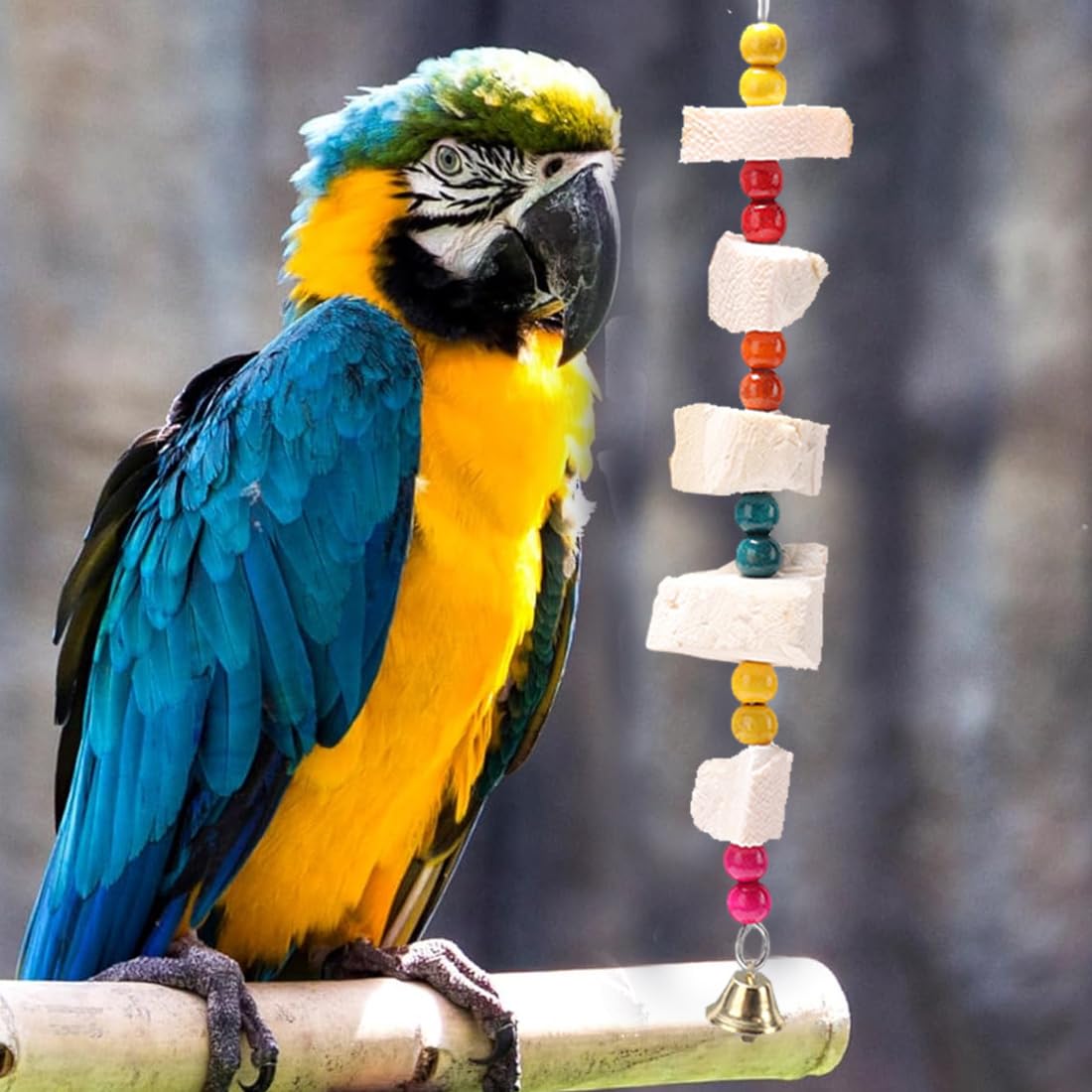 GXGM Set di 2 giocattoli da masticare per uccelli grandi pietra di calcio con campanelle per la limatura del becco accessori per gabbie parrocchetti pappagalli criceti cincillà conigli coniglietti